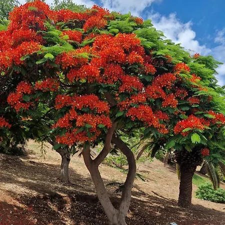 Torres Del Sol Luxury Americas *