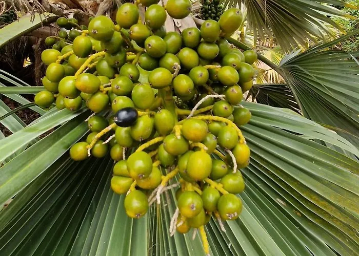 Torres Del Sol Luxury Americas Apartment Playa de las Américas